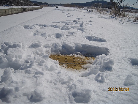 写真1 雪に隠れたホーム