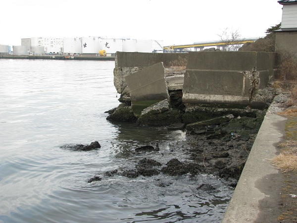 津波で壊れたと思われる岸壁