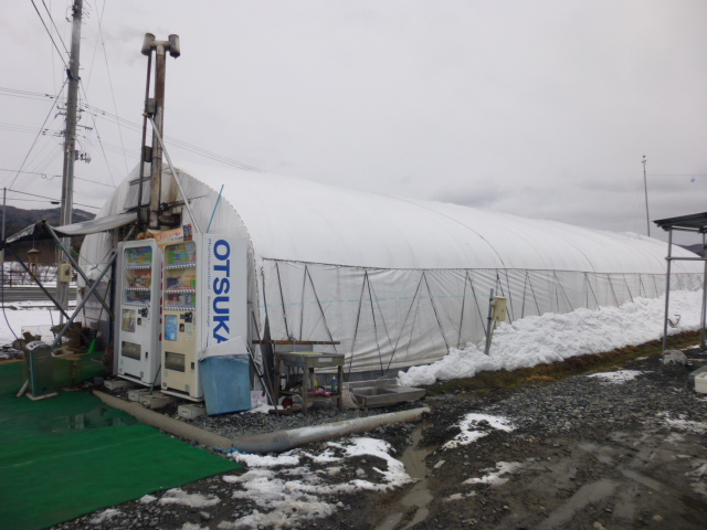 画像① ビニールハウス